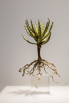 CIRCA Summer Show Dan Weill Photos