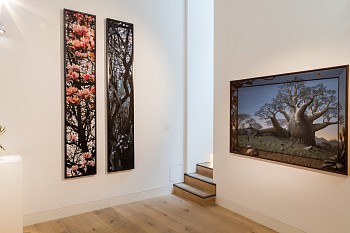 CIRCA Summer Show Dan Weill Photos