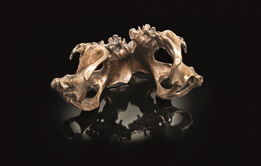 BRONWYN LACE, Passages Lost
Double pelvis bronze cast on acrylic plinth