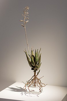 CIRCA Sculpture Sept16 Dan