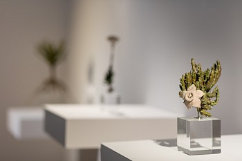 CIRCA Sculpture Sept16 Dan