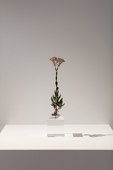 CIRCA Sculpture Sept16 Dan