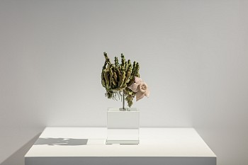 CIRCA Sculpture Sept16 Dan