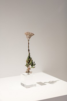 CIRCA Sculpture Sept16 Dan