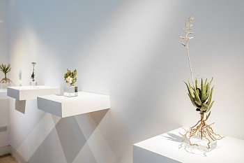 CIRCA Sculpture Sept16 Dan