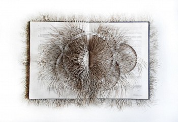 wac17794 astrology astronomy ii