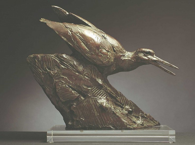 DYLAN LEWIS, S114 African Black Oystercatcher
Bronze