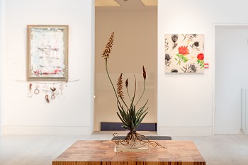 Everard Read Winter Dan Weill Photography