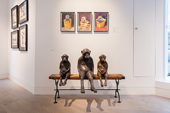 Everard Read Winter Dan Weill Photography