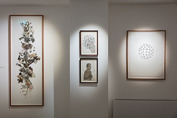 Everard Read Winter Dan Weill Photography