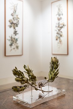 Everard Read Winter Dan Weill Photography