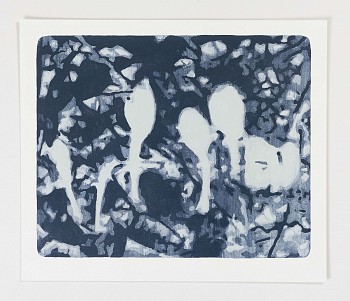 Natural Selection no.6