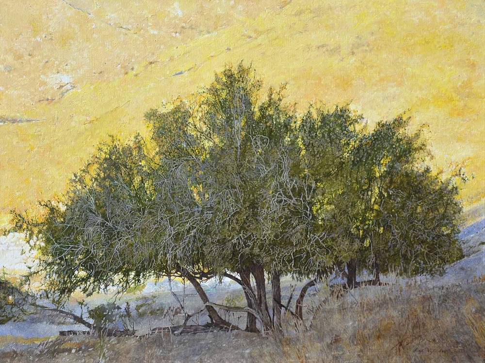 Euclea pseudebenus, Black ebony, Richtersveld, 90 x 120cm, oil on canvas web