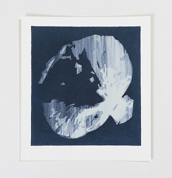 Natural Selection no.2