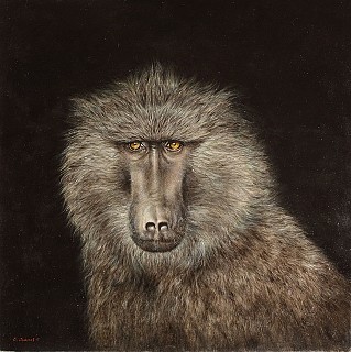 CLAUDE JAMMET, Soul of an Ape
Oil on paper mounted on canvas