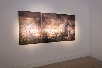 Everard Read Papetti & Demetz