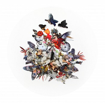 The hand that feeds you