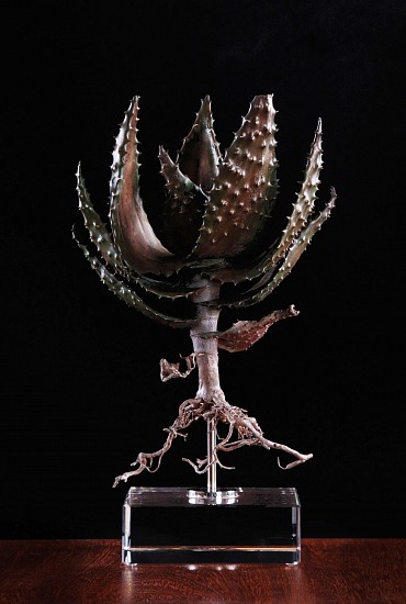 NIC BLADEN, Aloe spectabilis
Bronze