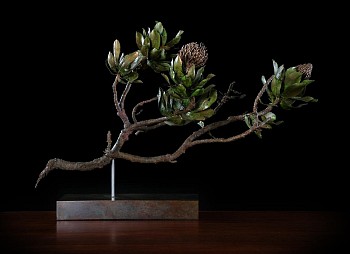 Nic Bladen Leucospermum cococarpadendron right