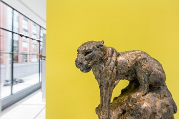 Everard Read Summer Exhibition Dan Weill Photography