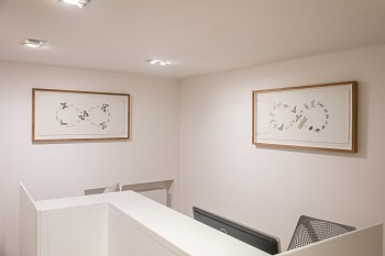 Everard Read Summer Exhibition Dan Weill Photography