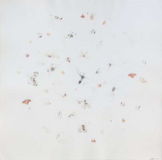 BRONWYN LACE, Homage to Hirst II (Impression)
2015, Mixed media on paper