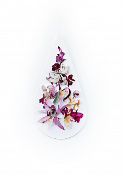 The blind leading the blind IX