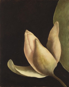 Shany van den Berg, Lily Portrait VI, oil on board, 30 x 24 cm