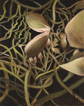 Shany van den Berg, Lily Portrait VIII, oil on board, 30 x 24 cm