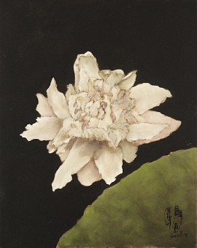 Shany van den Berg, Lily Portrait XIV, oil on board, 30 x 24 cm