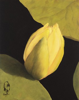 Shany van den Berg, Lily Portrait XVI, oil on board, 30 x 24 cm