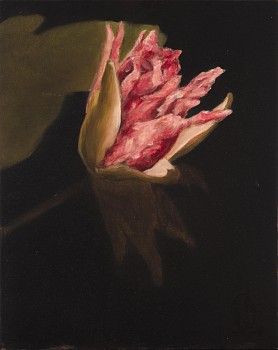 Shany van den Berg, Lily Portrait XVII, oil on board, 30 x 24 cm
