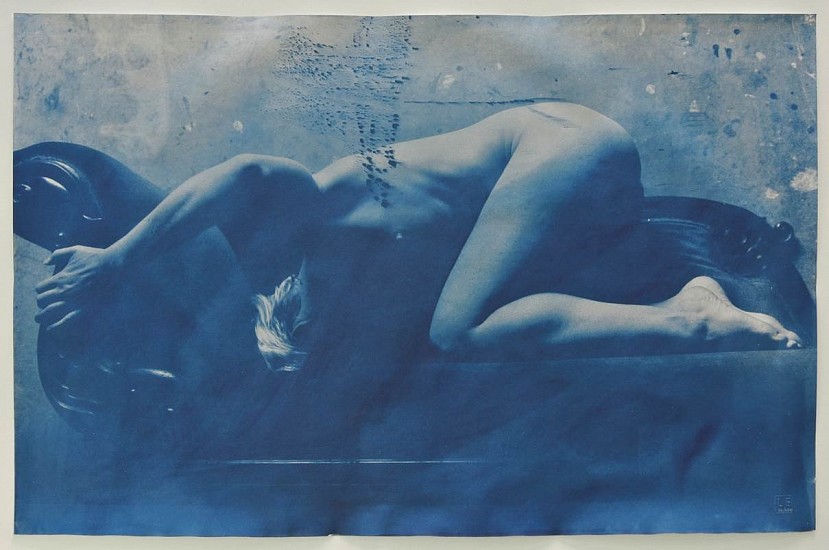 LAURA ELLENBERGER, The Shape of Water
Cyanotype on Fabriano