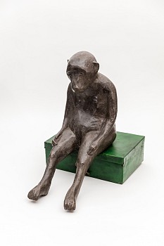 LOW Everard Read Hartslief Dan Weill Photography