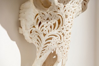 06 Everard Read Bronze Steel and Bone Dan Weill Phototgraphy UNEDITED