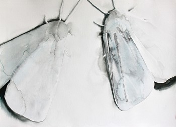 Night Thought #4, Tanya Poole, ink and watercolour on paper, 30 x 40cm, 2020