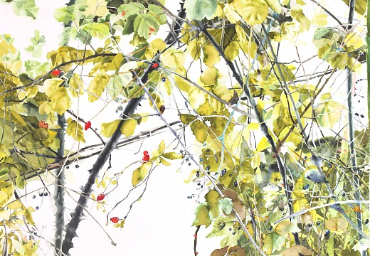 low Hedgerow Composition #1 ink on paper 86 x 120cm 2020