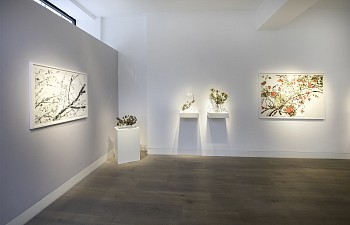 008A7320 copy low res