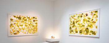 008A7597 copy low res