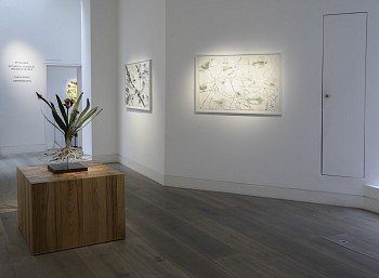 008A7652 copy low res