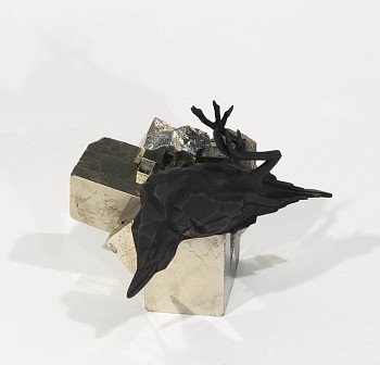 The Collector 6out12 side