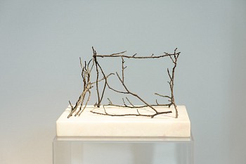 Everard Read Transitory Terrains