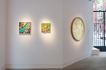 Everard Read Transitory Terrains