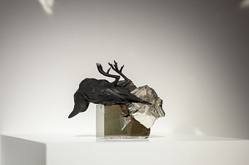 Everard Read Transitory Terrains