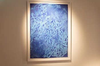 Everard Read Transitory Terrains