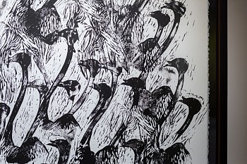 Everard Read Transitory Terrains