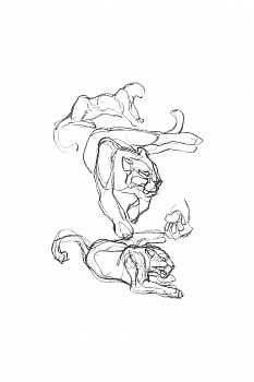 Lewis p011 leopard study iii