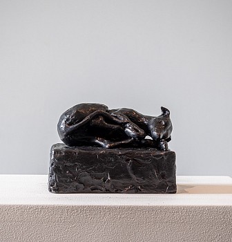 Bailey, N nicci 7830 mouse