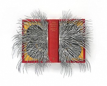 Barbara Wildenboer, Pears Cyclopedia, Mixed media, 54 x 51cm