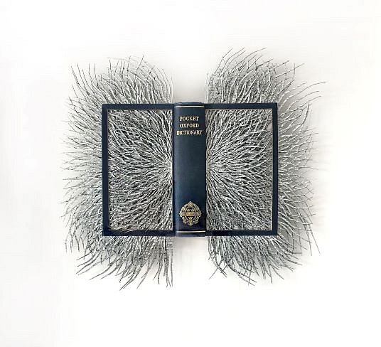 BARBARA WILDENBOER, Pocket Oxford Dictionary
Altered book (hand cut)